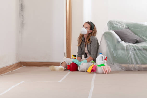 Reliable Black Mold Remediation contractor in Park Hall, MD by 24 Hour Mold Removal